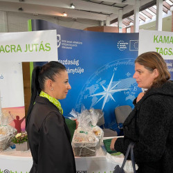 25 bihari szamado napok102