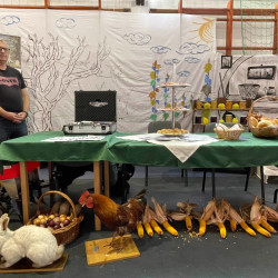 25 bihari szamado napok108