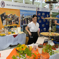 25 bihari szamado napok113