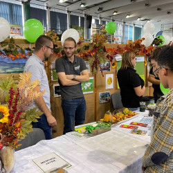 25 bihari szamado napok136