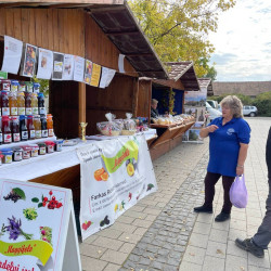 25 bihari szamado napok150