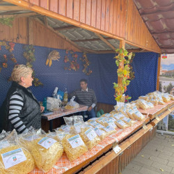 25 bihari szamado napok151