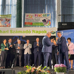 25 bihari szamado napok61