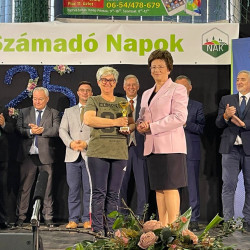 25 bihari szamado napok66