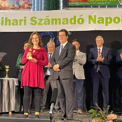 25 bihari szamado napok70