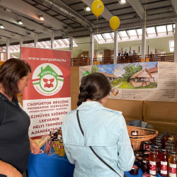 25 bihari szamado napok73