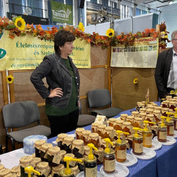 25 bihari szamado napok87