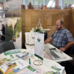 25 bihari szamado napok88