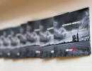 gombos ferenc10