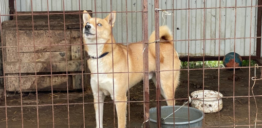 adomany a bihari vallalkozoktol11