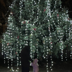 advent masodik vasarnapjan27