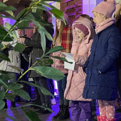 advent masodik vasarnapjan28