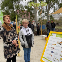 atadtak a befogado jatszoteret25