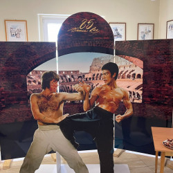 bruce lee rajzpalyazat52