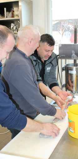 csapatepito disznotor03