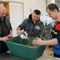 csapatepito disznotor04