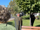 edes elmenyek berettyoujfaluban049