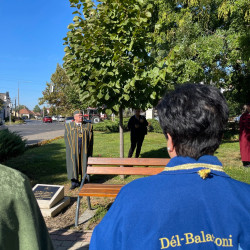 edes elmenyek berettyoujfaluban050
