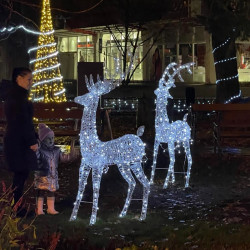 fellobbant a remeny langja32