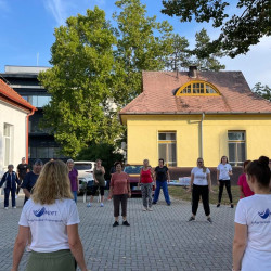 fizioterapia vilagnapja 2025