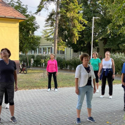 fizioterapia vilagnapja 2025