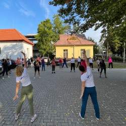 fizioterapia vilagnapja 2025