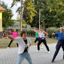 fizioterapia vilagnapja 2025