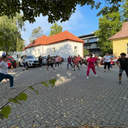 fizioterapia vilagnapja 2025