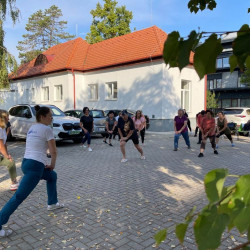 fizioterapia vilagnapja 2025