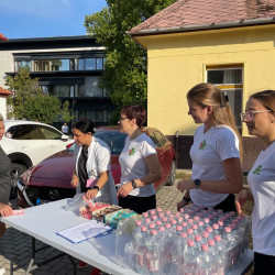 fizioterapia vilagnapja 2025