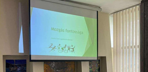 fizioterapia vilagnapja 2025