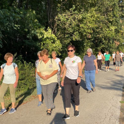 fizioterapia vilagnapja 2025