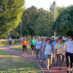 fizioterapia vilagnapja 2025