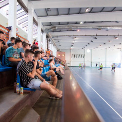 hajdu miklos emlektorna