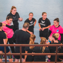 hajdu miklos emlektorna