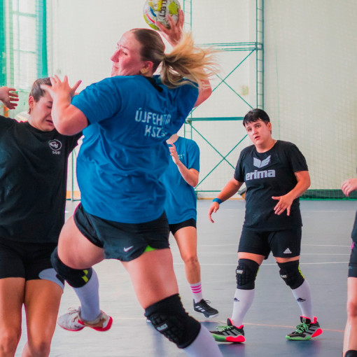 hajdu miklos emlektorna