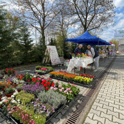 husveti vasar a tamaban10