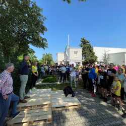 elso tama futoverseny