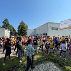 elso tama futoverseny