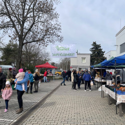 ujra tama termeloi vasar