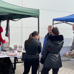 ujra tama termeloi vasar