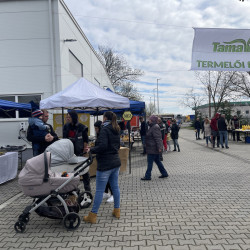 II. TAMA termelői piac