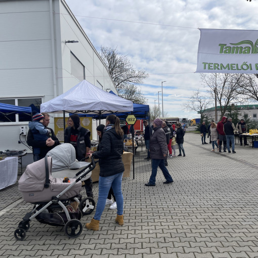 II. TAMA termelői piac