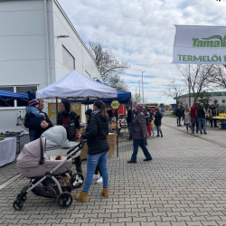 ujra tama termeloi vasar