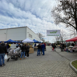 ujra tama termeloi vasar