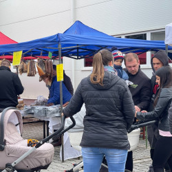 ujra tama termeloi vasar