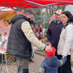 ujra tama termeloi vasar