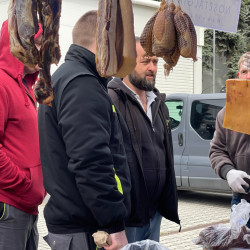 ujra tama termeloi vasar