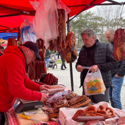 ujra tama termeloi vasar