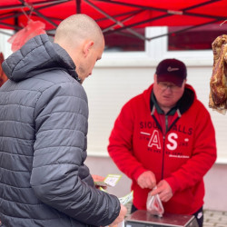 ujra tama termeloi vasar